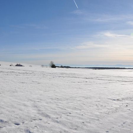 Pension Silberdistel Юлінген-Біркендорф Екстер'єр фото